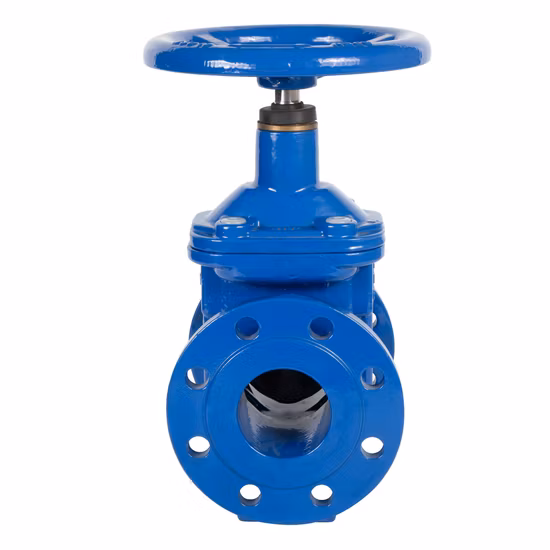 Hierro dúctil/Wcb/Acero inoxidable Válvula de compuerta de control industrial con asiento elástico no ascendente O&Y