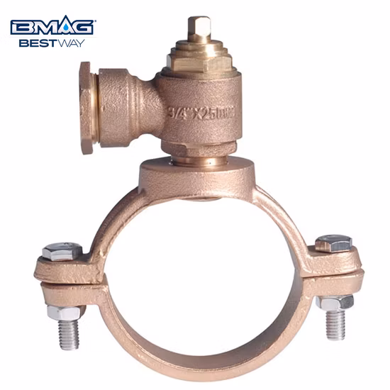 Sillín de virola de bronce/Correa de virola con Pushfit